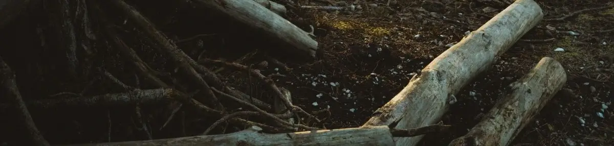 Trädfällning jönköping utförd av arborist som kan fälla träd